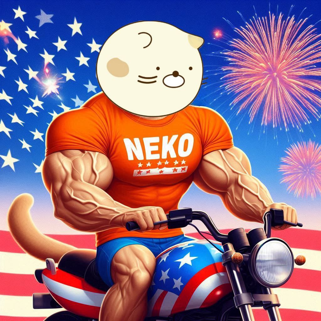 Meme 43